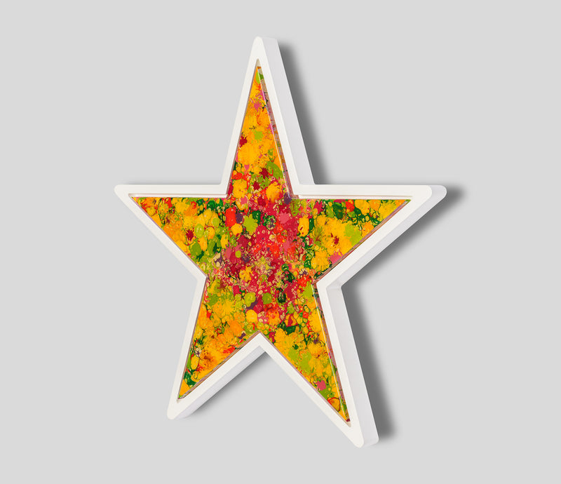 AEC ORI ABS 09202 2 Garden Star 2 