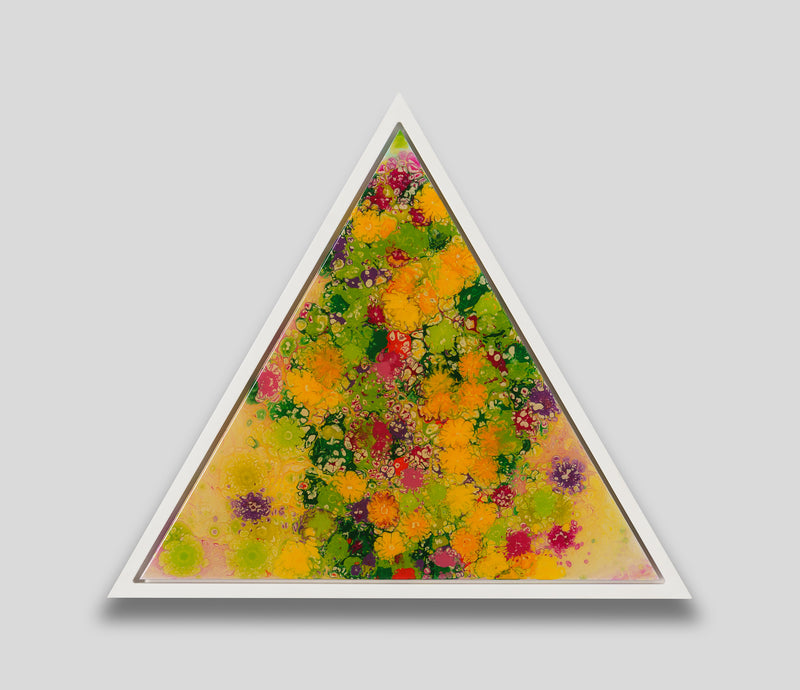 AEC ORI ABS 09204 1 The Impossible Geometry Of Nature 7 