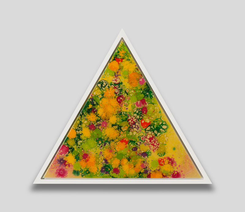 AEC ORI ABS 09205 1 The Impossible Geometry Of Nature 6 
