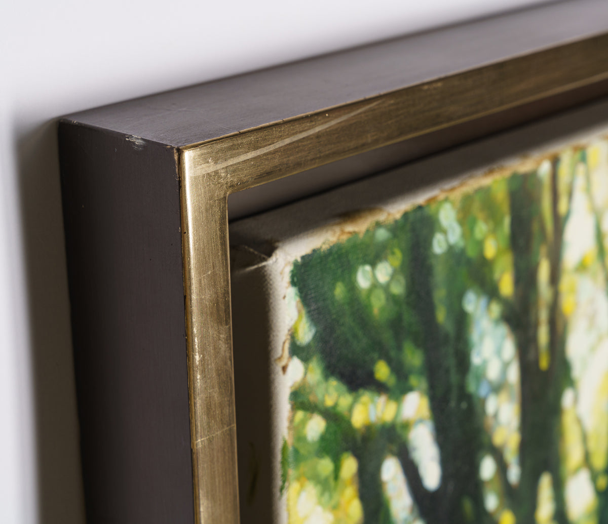 AKN ORI POR 04182 5 DNS A Natural State 