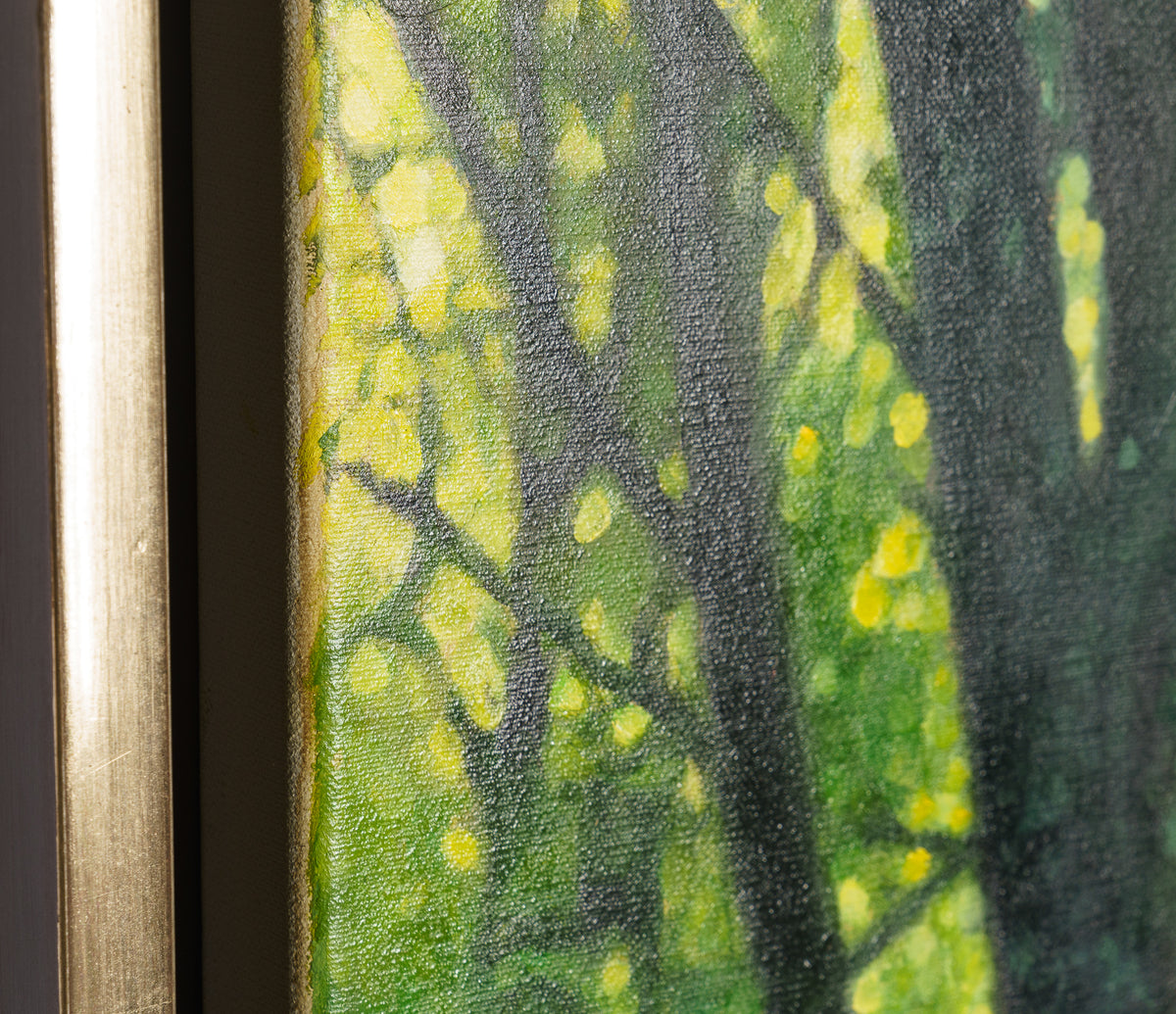 AKN ORI POR 04182 8 DNS A Natural State 