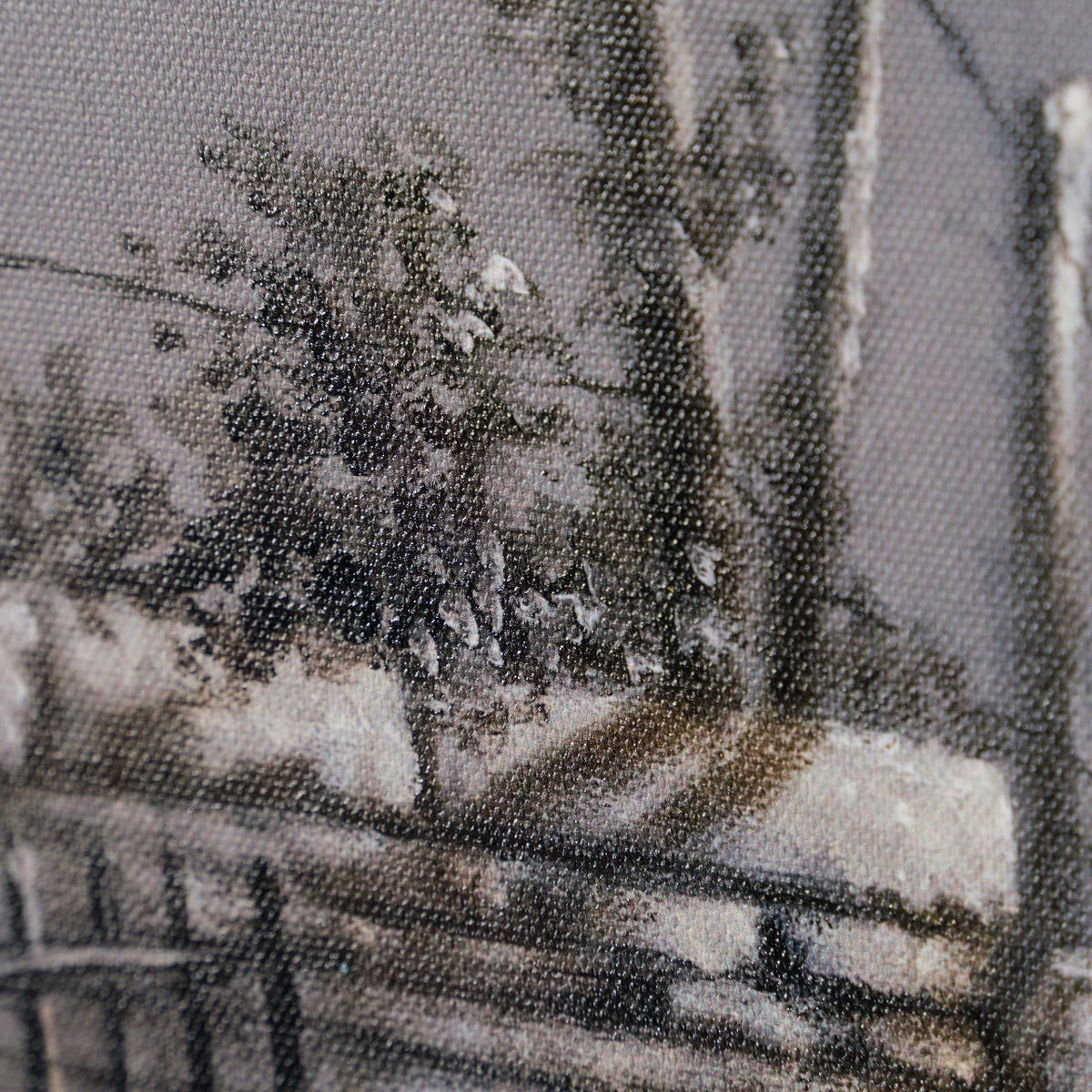 BBA SLE LAN 30240 6 Hello You 