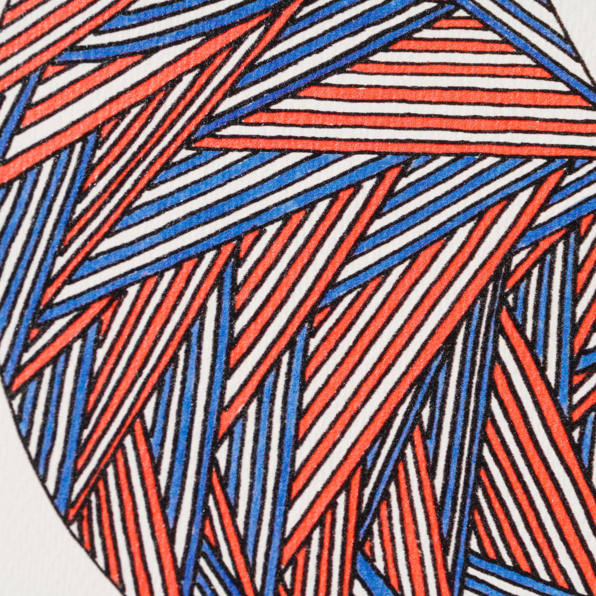 BCN Extinct Scottish Cat 5 