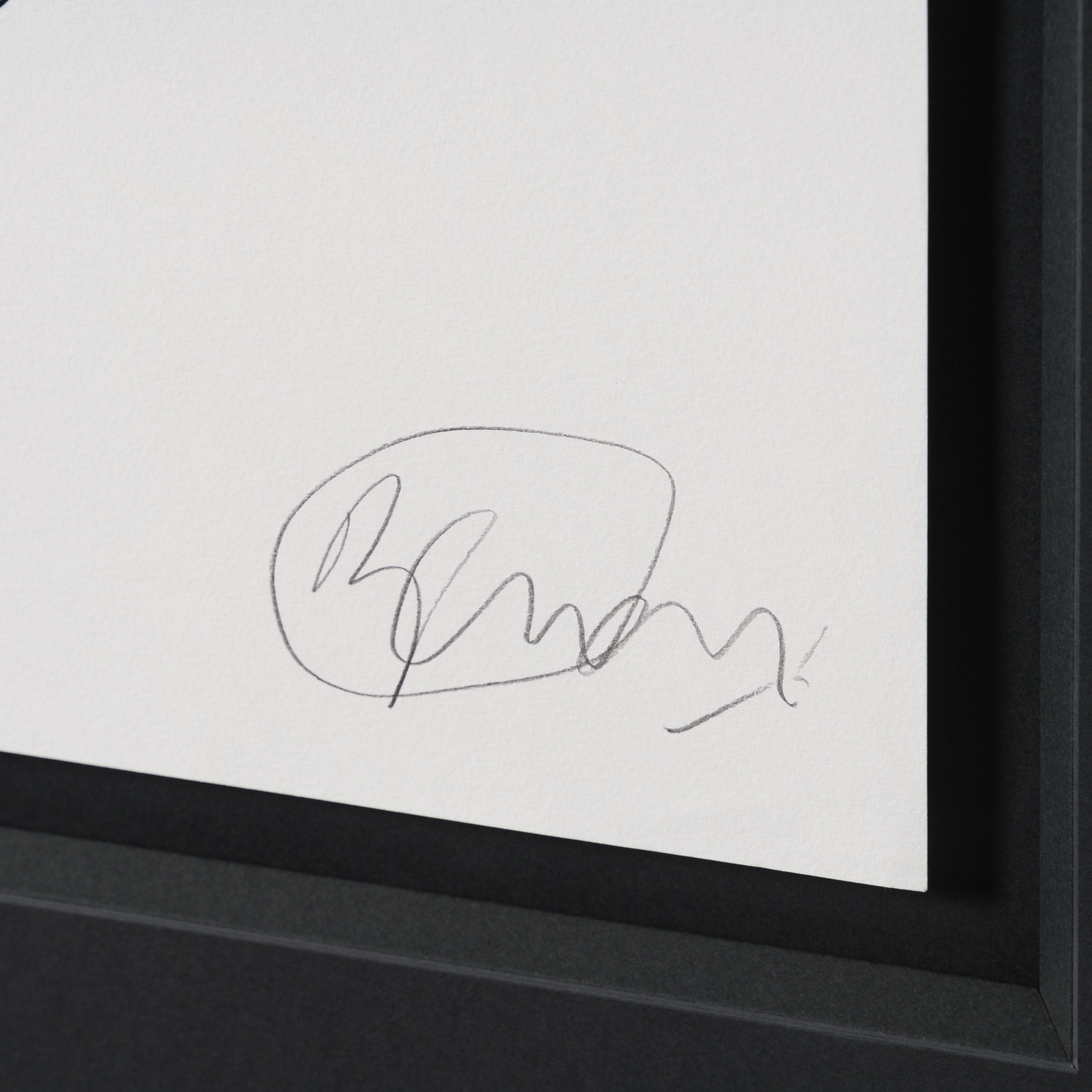 BCN ORI POR 33330 Baby Flier (Blue & Purple) 3 