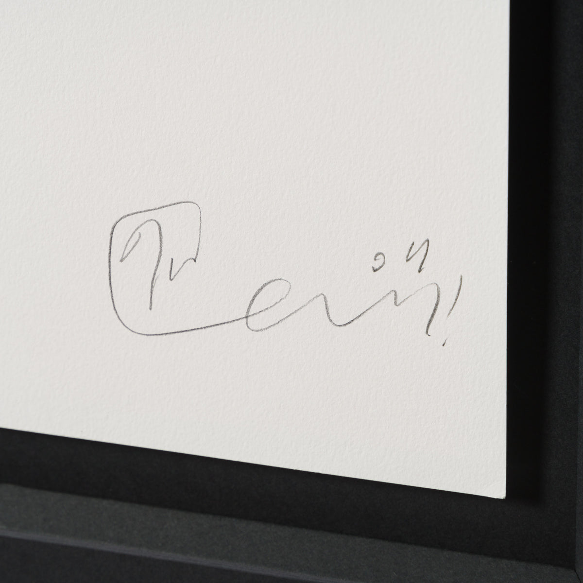 BCN ORI POR 33372 Wee Warrior With Targe   Orange & Purple 3 