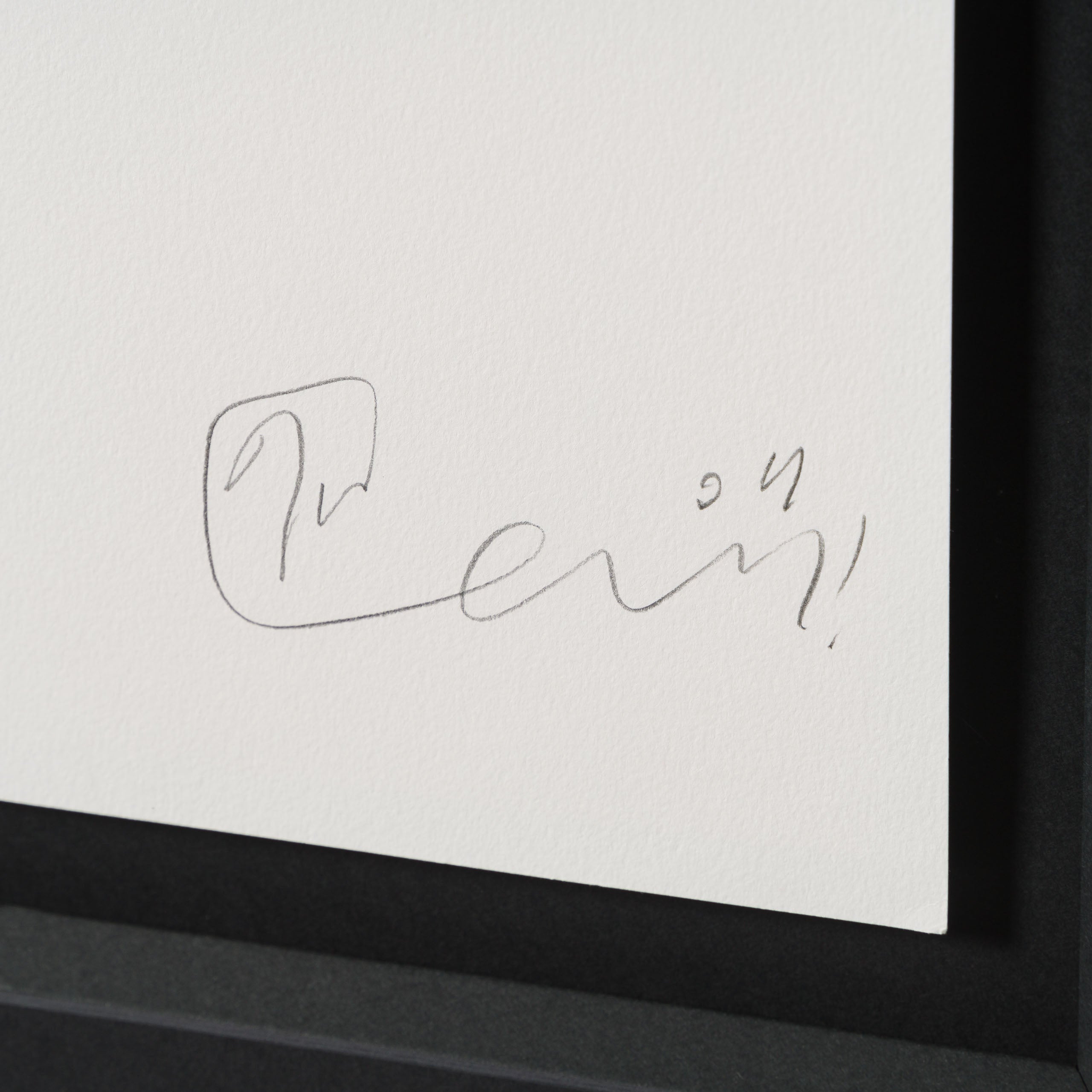 BCN ORI POR 33372 Wee Warrior With Targe   Orange & Purple 3 