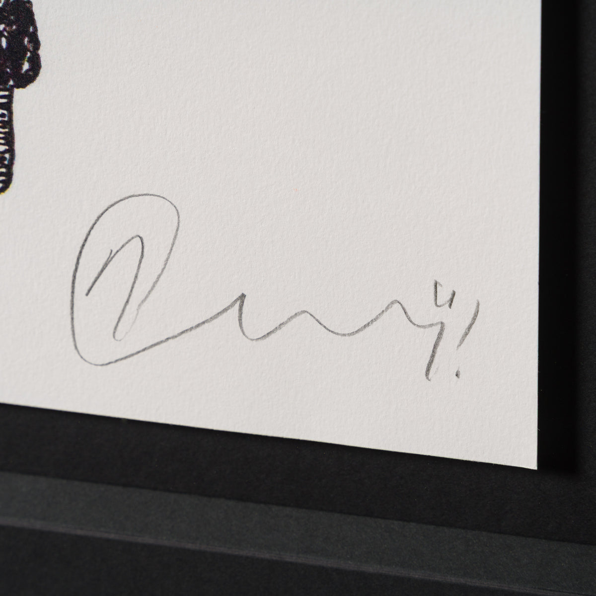 Product image 1 for billy-connolly-desert-poodle-in-autumn-plumage