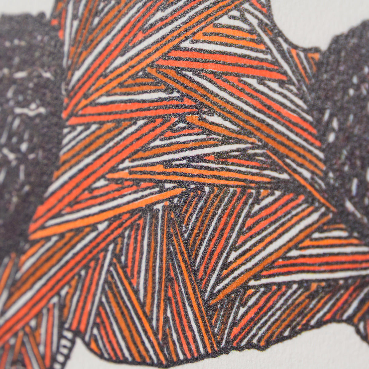 BCN ORI POR 36407 Desert Poodle In Autumn Plumage 5 