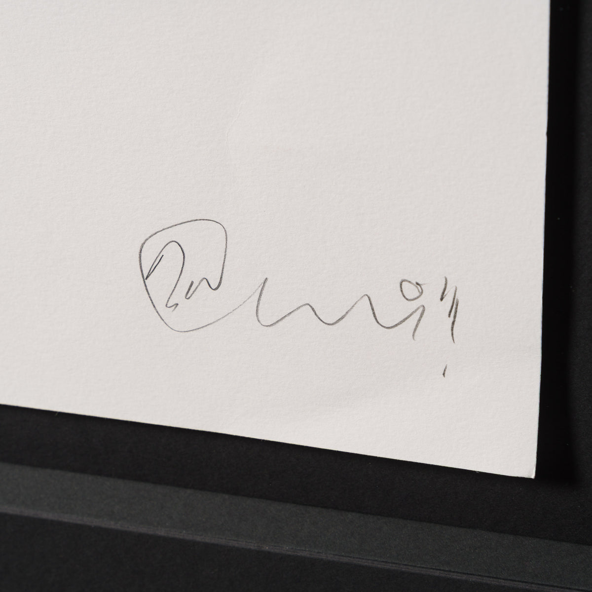 BCN ORI POR 36430 Wading Bird with Rainbow Legs 3 