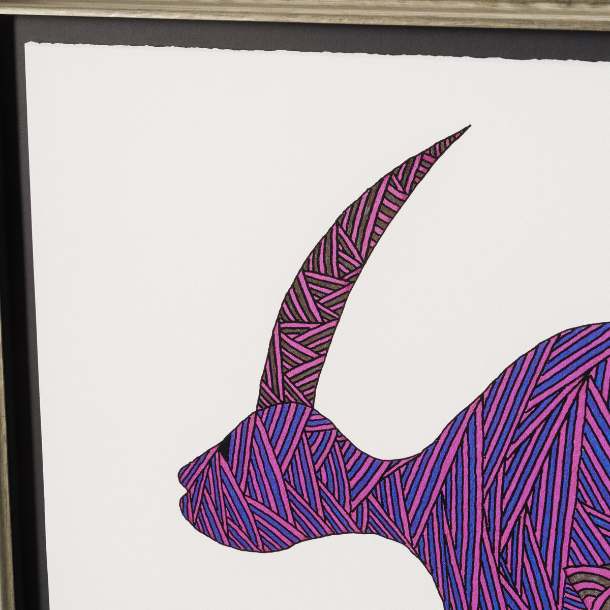 BCN ORI UNI 34042 Gozunder Fish   Purple an Blue 5 