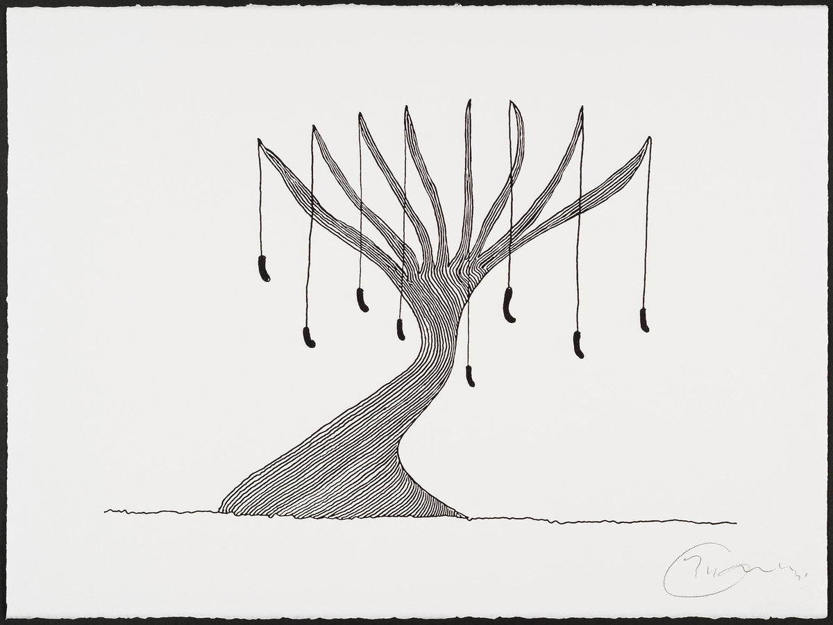 Born On A Rainy Day Portfolio 2020 (Unframed set of 6)