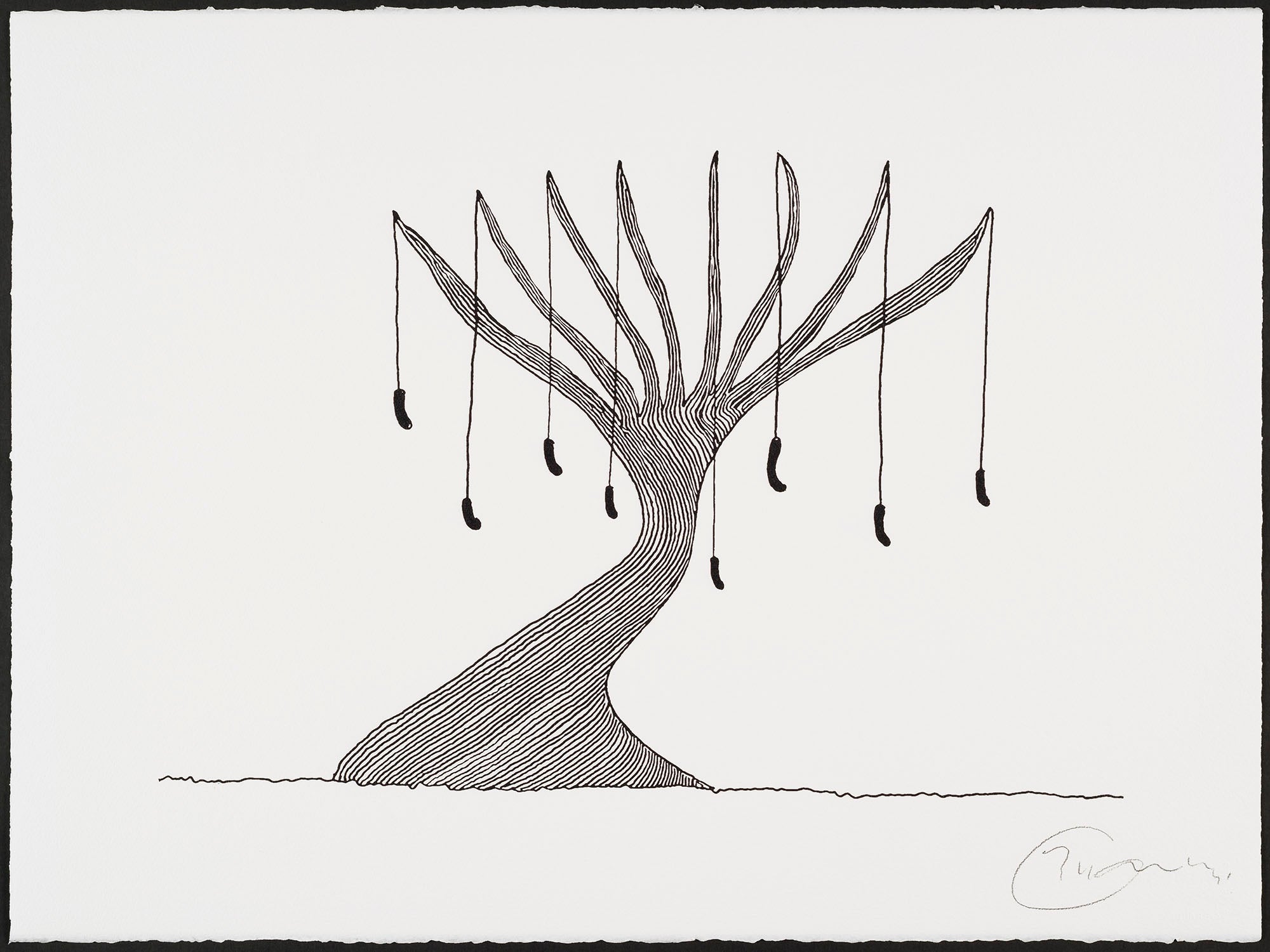 Born On A Rainy Day Portfolio 2020 (Unframed set of 6)