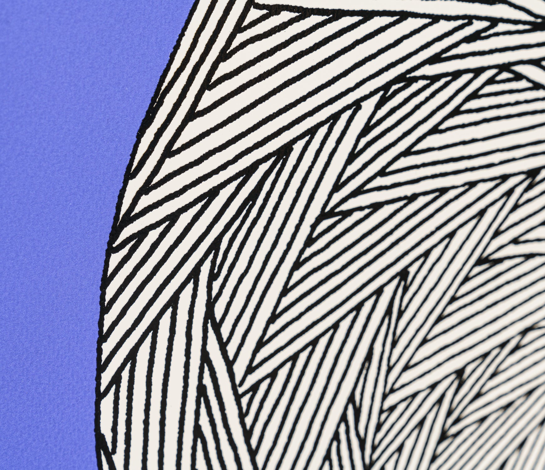 BCN SIL POR 25359 8 Blue Angel 