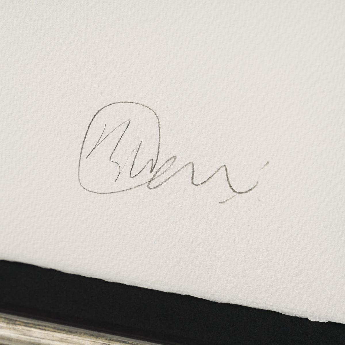 Product image 1 for billy-connolly-silence-in-the-undergrowth-is-key