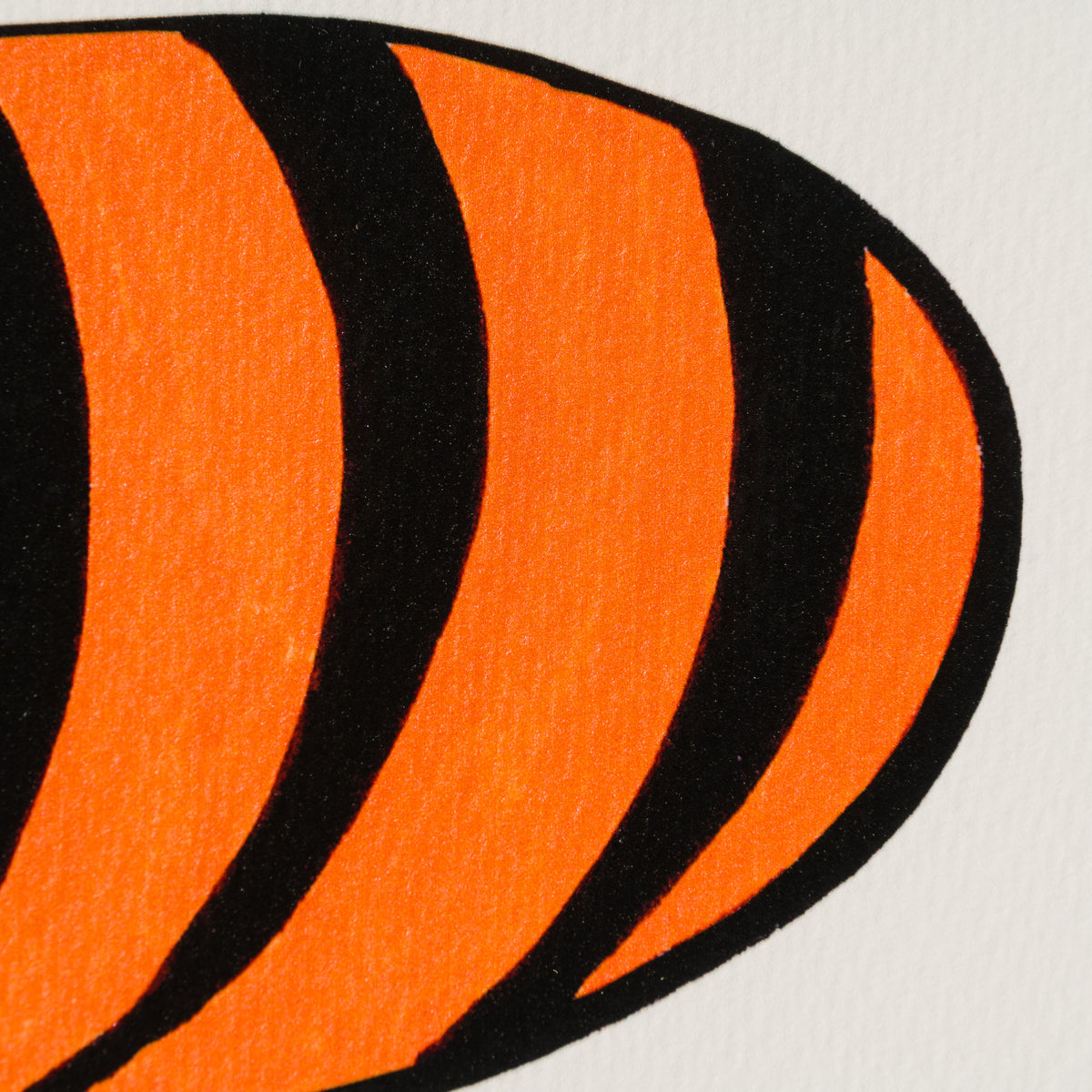 BCN Silence In The Undergrowth 5 