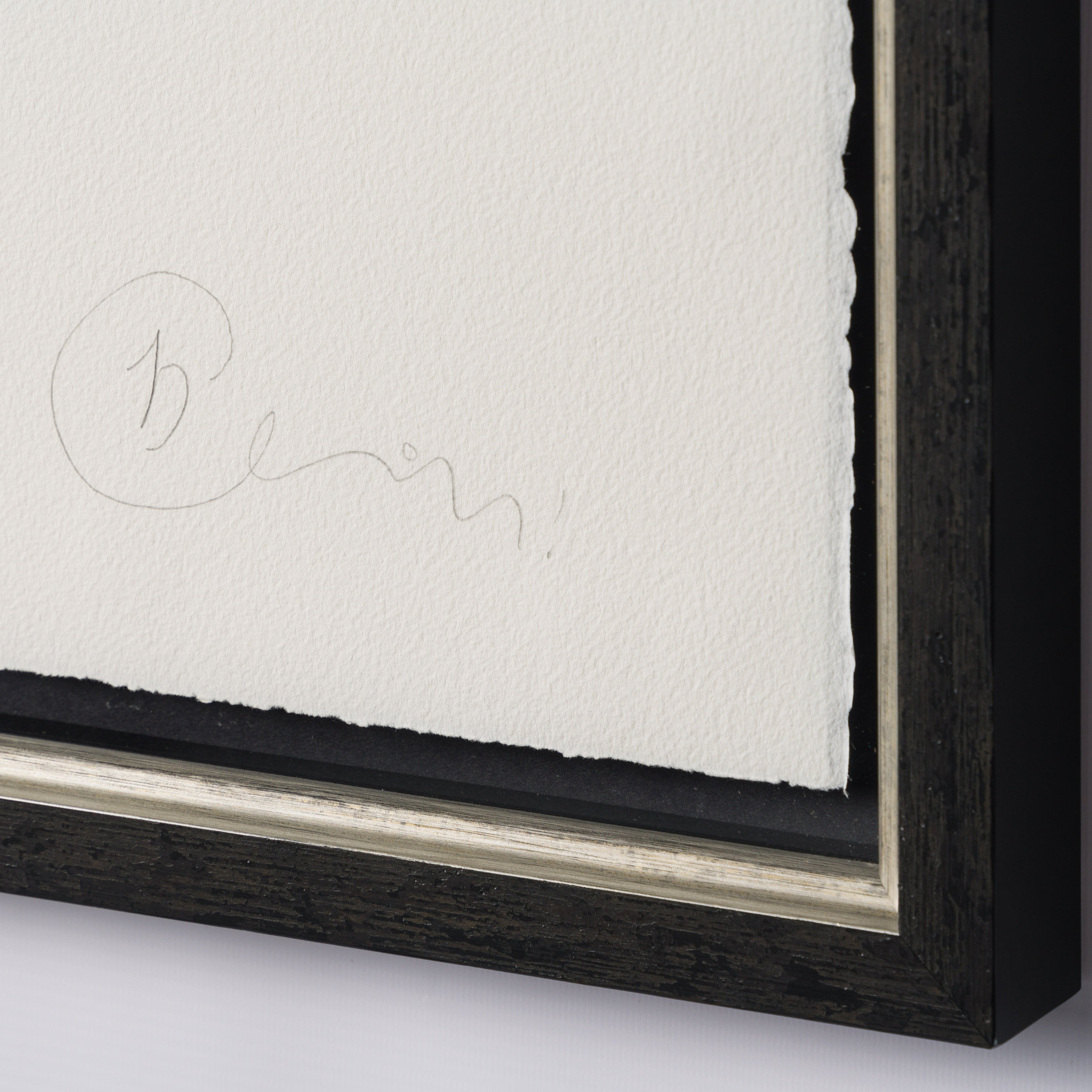 BCN SLE POR 24191 5 Windswept   Interesting (Yellow) 