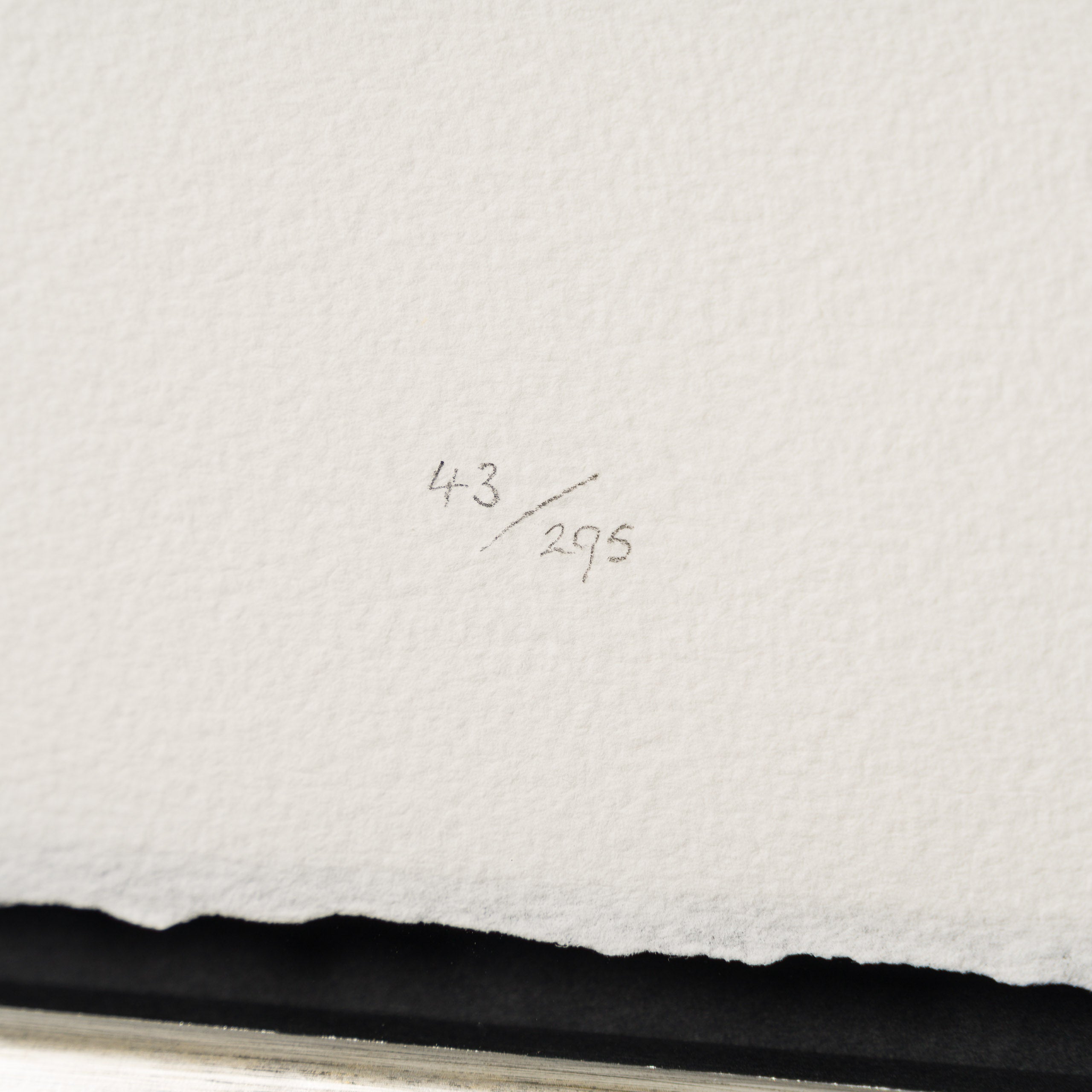 BCN SLE POR 25516 Purple People Eater 4 