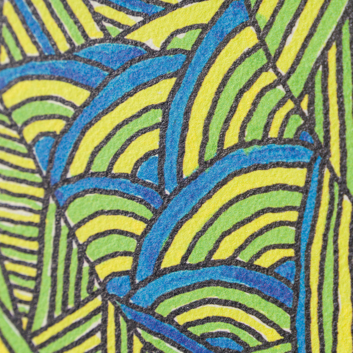 BCN SLE POR 25518 GoZunderfish 6 