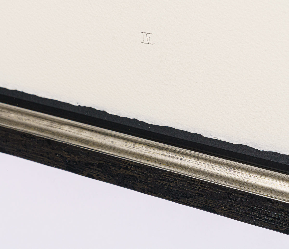 BCN SLE POR 28065 5 Scotty Poser IV 