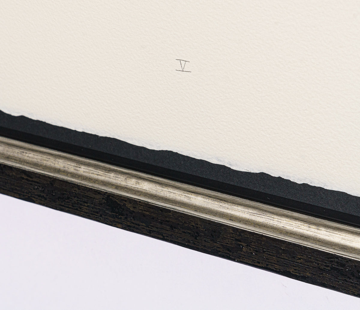 BCN SLE POR 28066 5 Scotty Poser V 