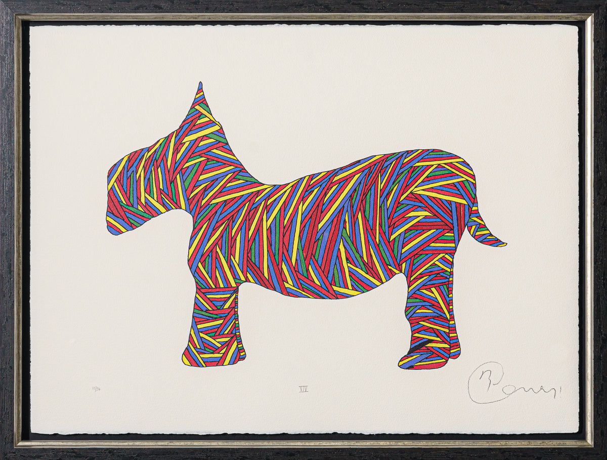 BCN SLE POR 28075 4 Scotty Poser XIV 