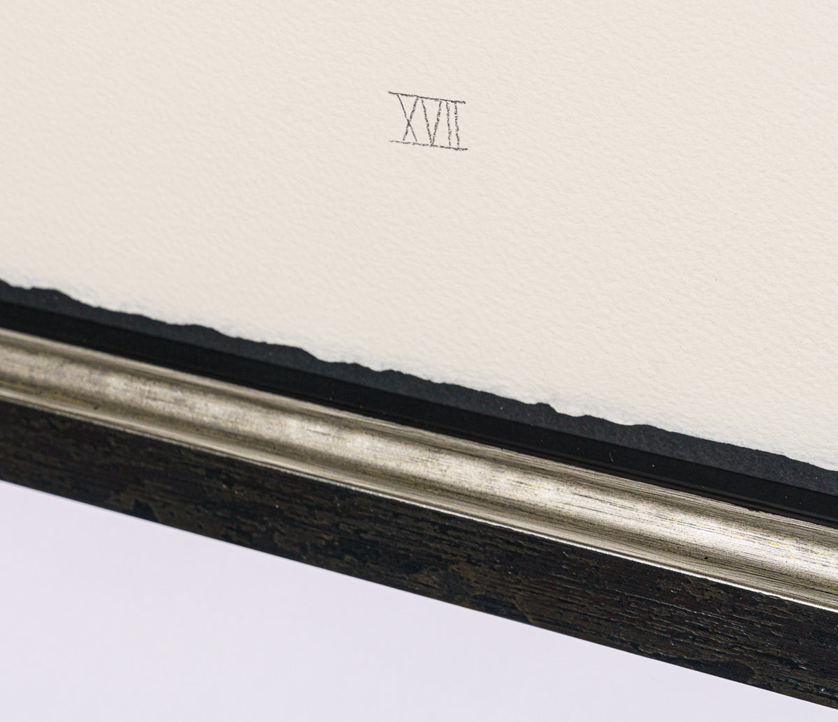 BCN SLE POR 28078 5 Scotty Poser XVII 