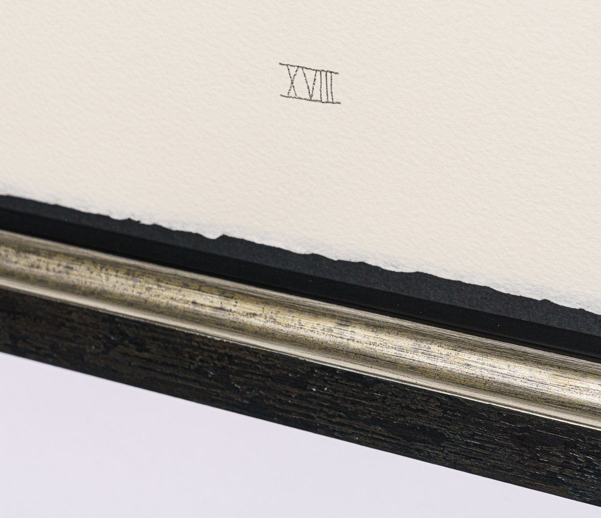 BCN SLE POR 28079 5 Scotty Poser XVIII 