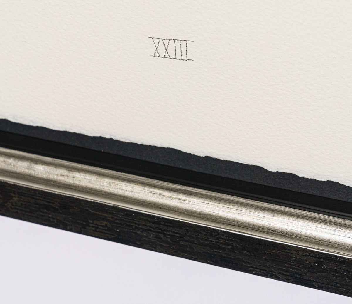 BCN SLE POR 28084 5 Scotty Poser XXIII 