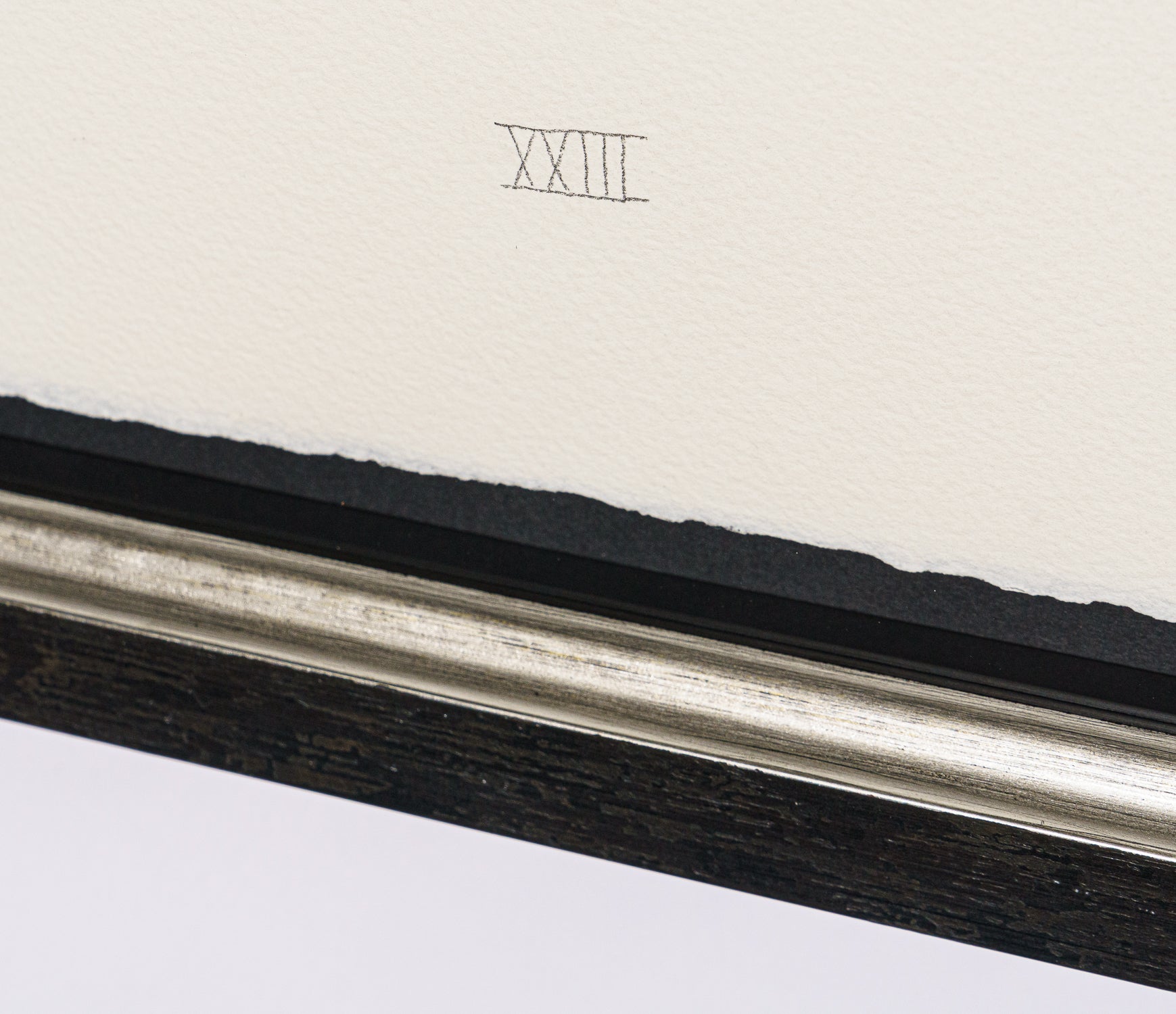 BCN SLE POR 28084 5 Scotty Poser XXIII 