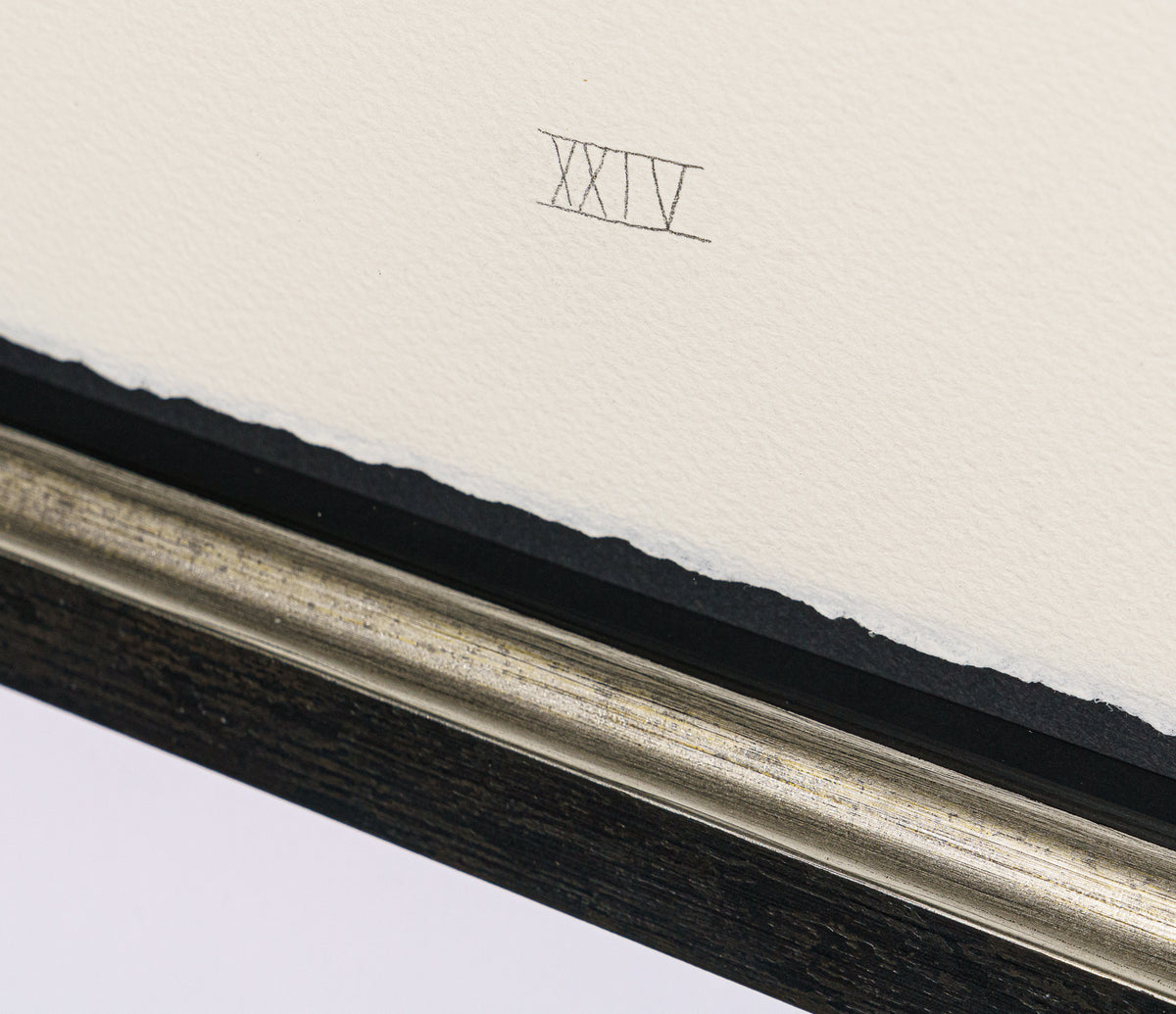 BCN SLE POR 28085 5 Scotty Poser XXIV 