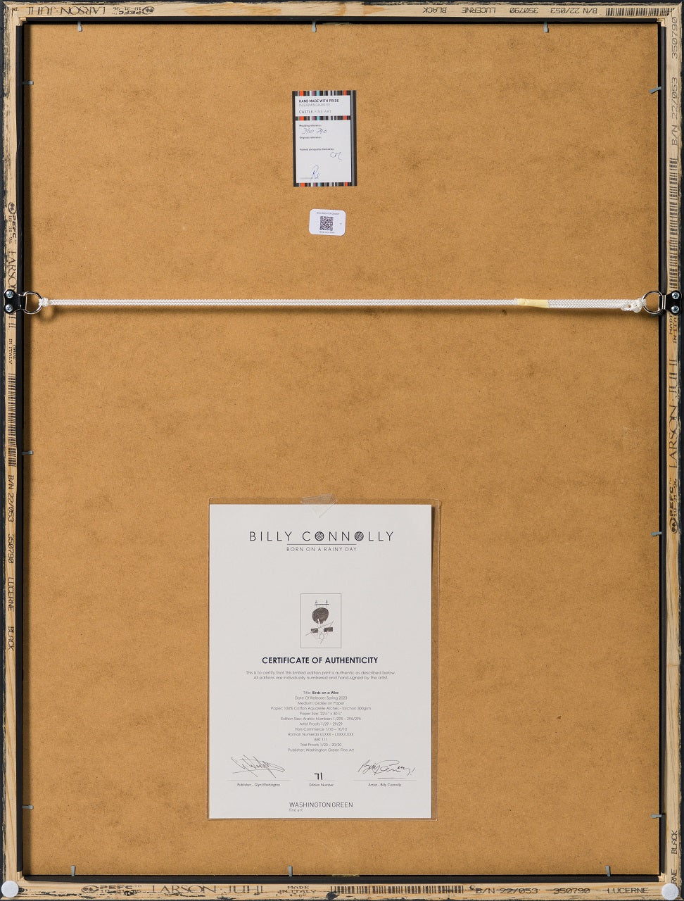 BCN SLE POR 28480 10 Birds On A Wire 