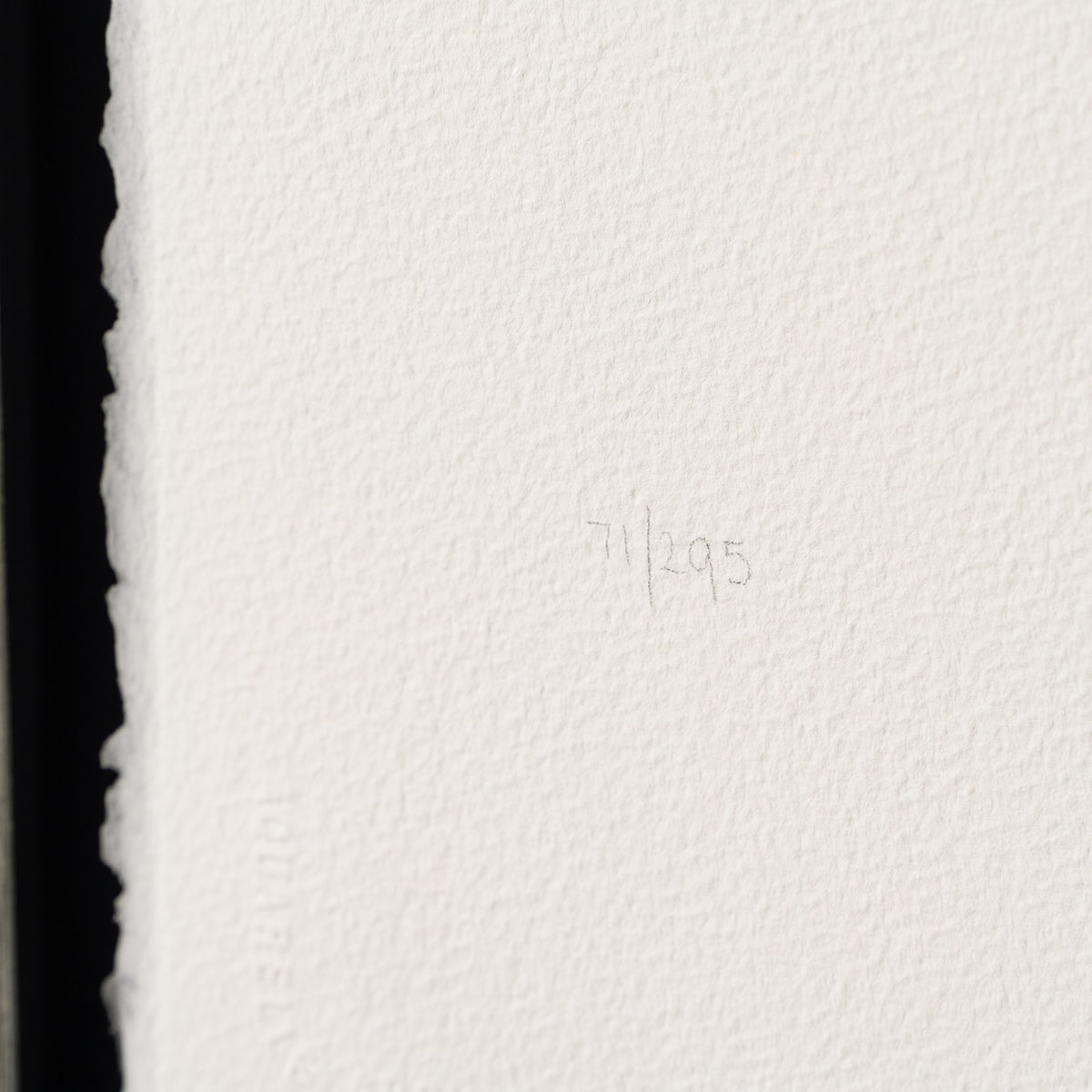 BCN SLE POR 28480 4 Birds On A Wire 