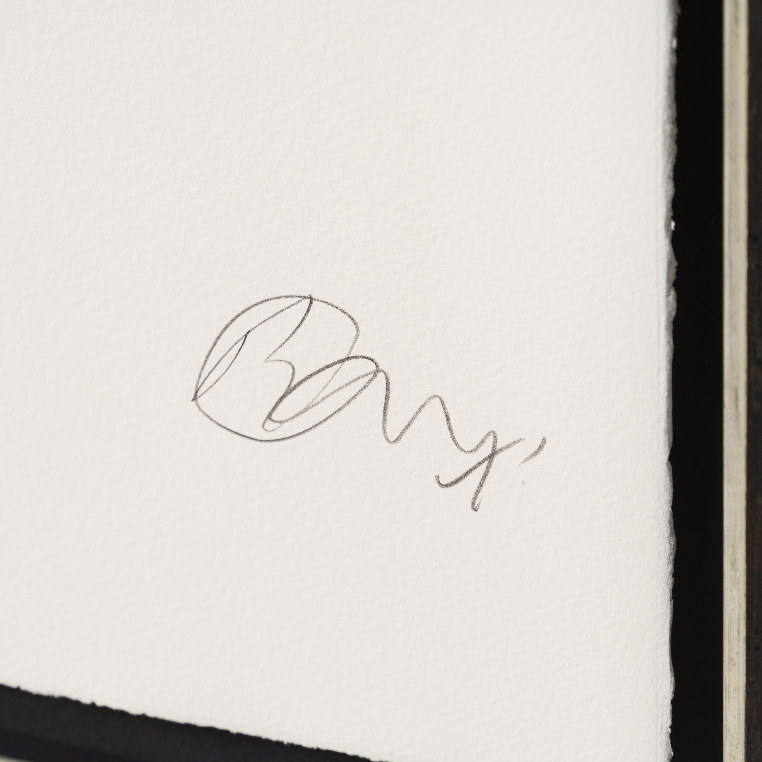 Rebel Without A Sword