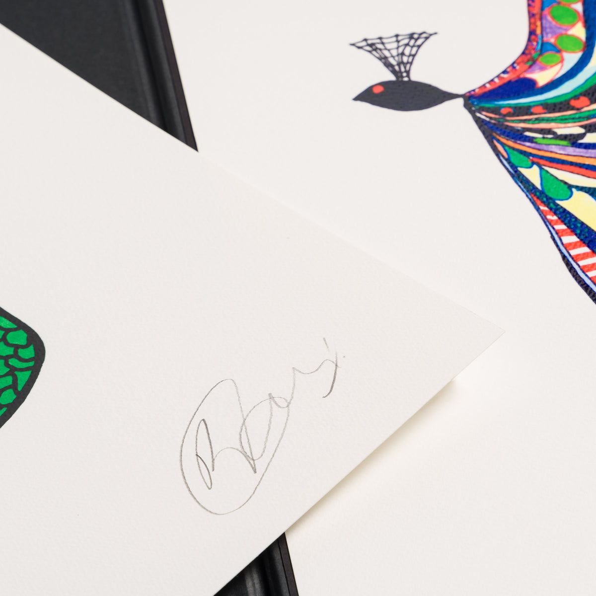 BCN Unframed set Collector s Edition edition 11 