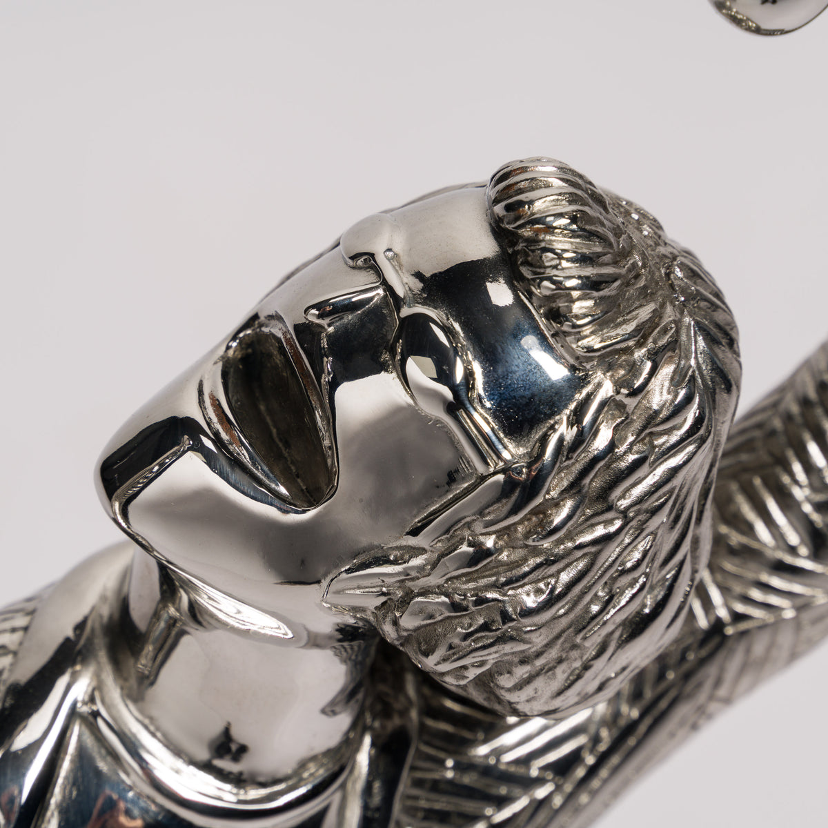 Windswept & Interesting Sculpture