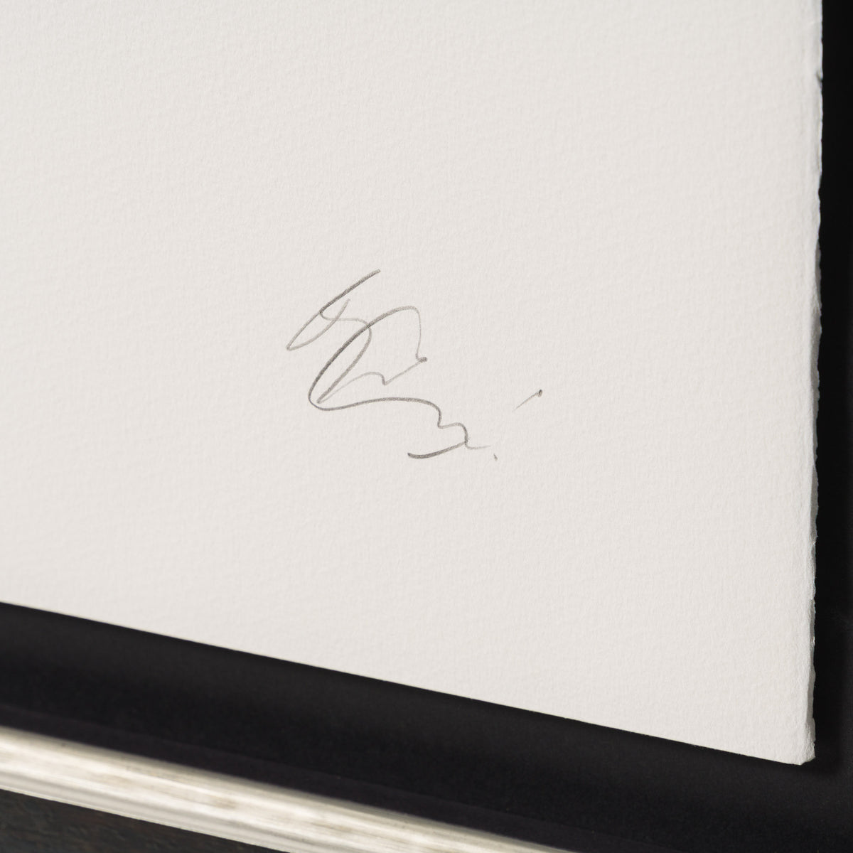 BCN Windswept & Interesting Blue 3 