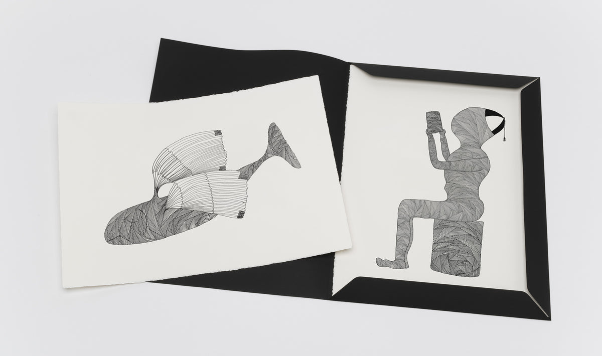 BCO Born On A Rainy Day 2019 portfolio open 