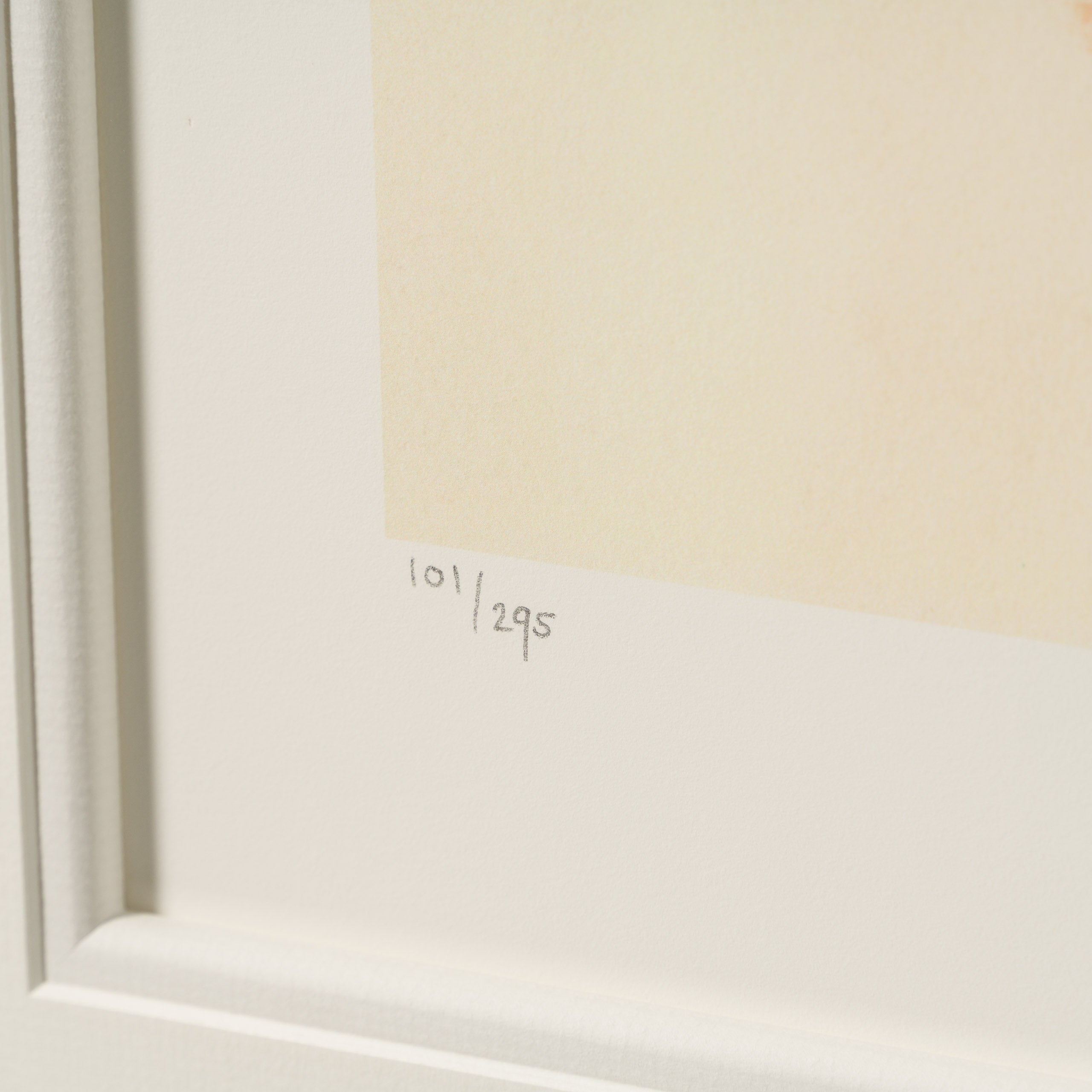 BDY Concert Pianist 4