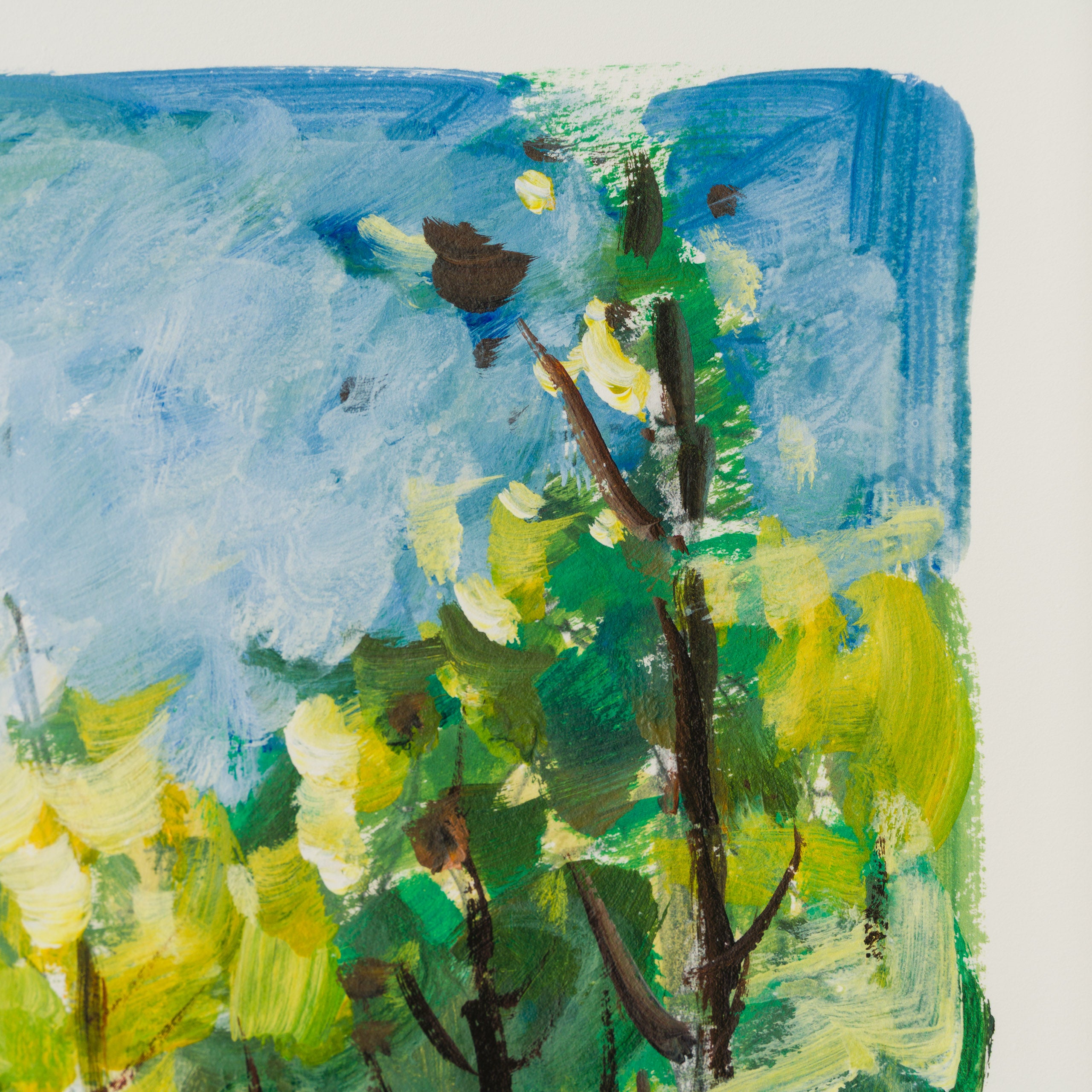 Point Blank | Portfolio Set of Four Landscapes