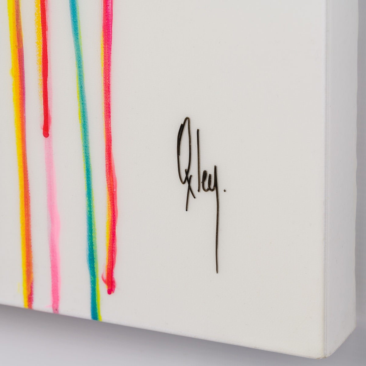 BOX 3 Animal 1 Resin 