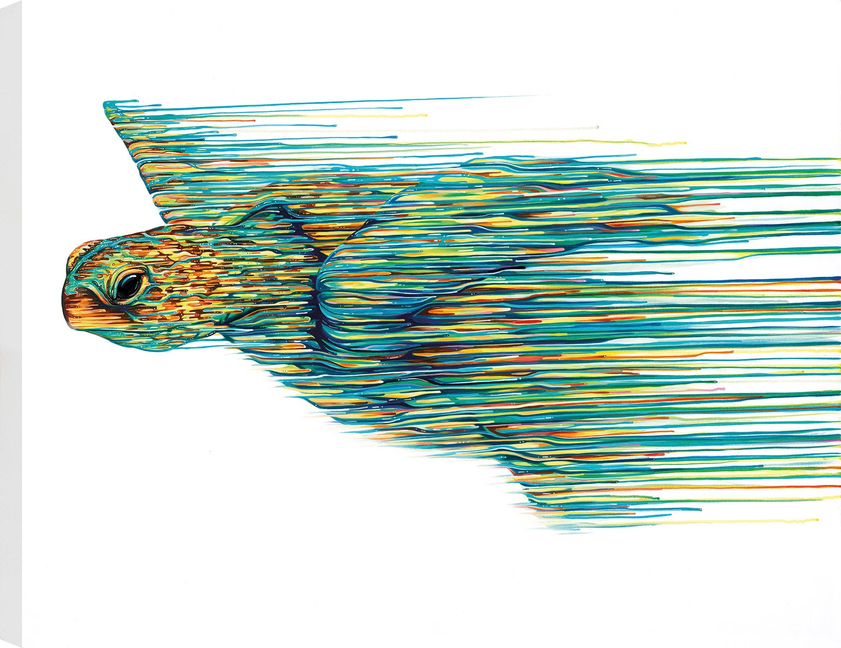 Robert Oxley Atlantis