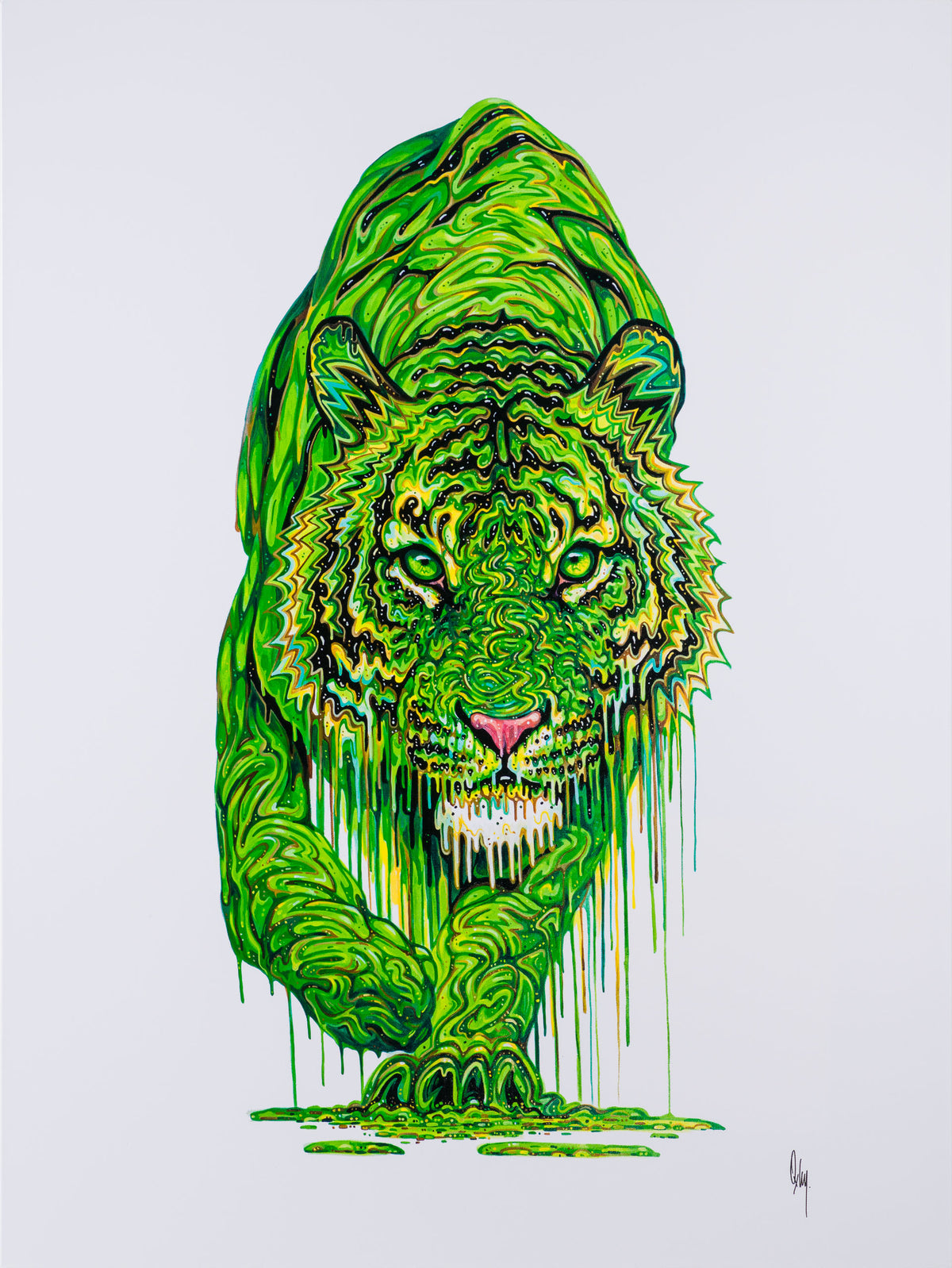 BOX Basil (LARGE) 30 