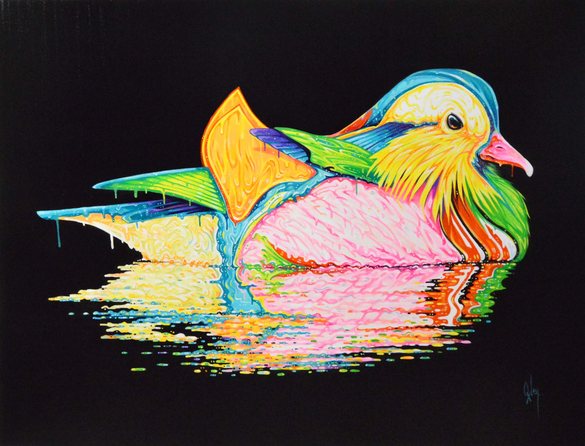 BOX ORI Mandarin Duck Ezra 91 5 x 122 cm s (streaks in the varnish) 