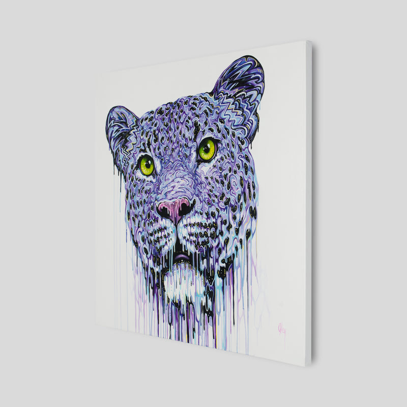 BOX ORI WWL 26199 2 Belladonna 