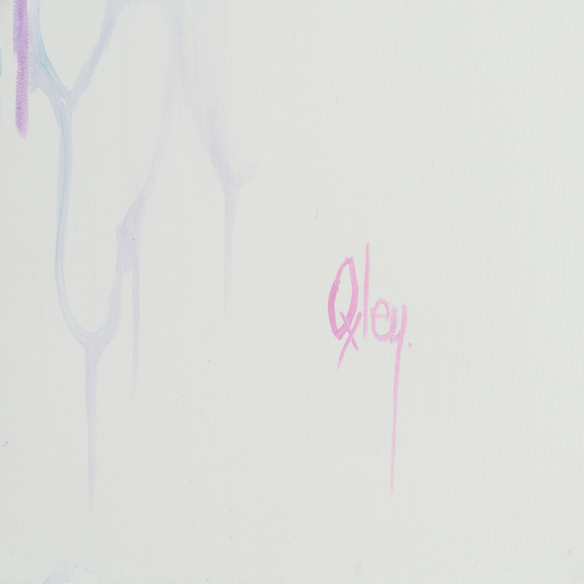 BOX ORI WWL 26199 3 Belladonna 