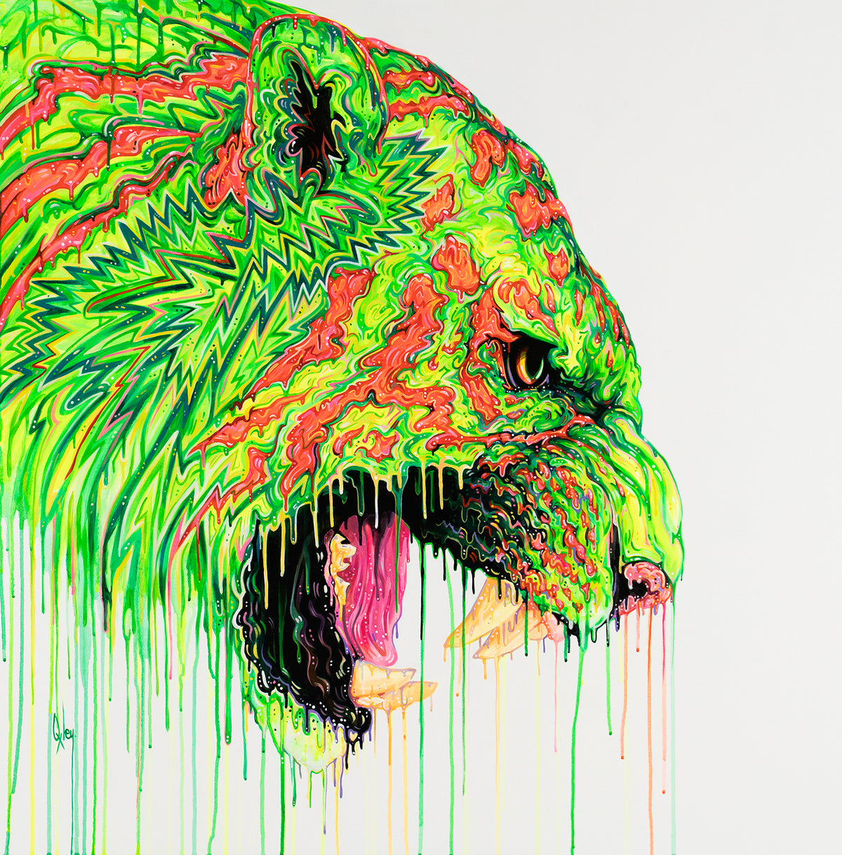 BOX ORI WWL 27505 6 Gamma 