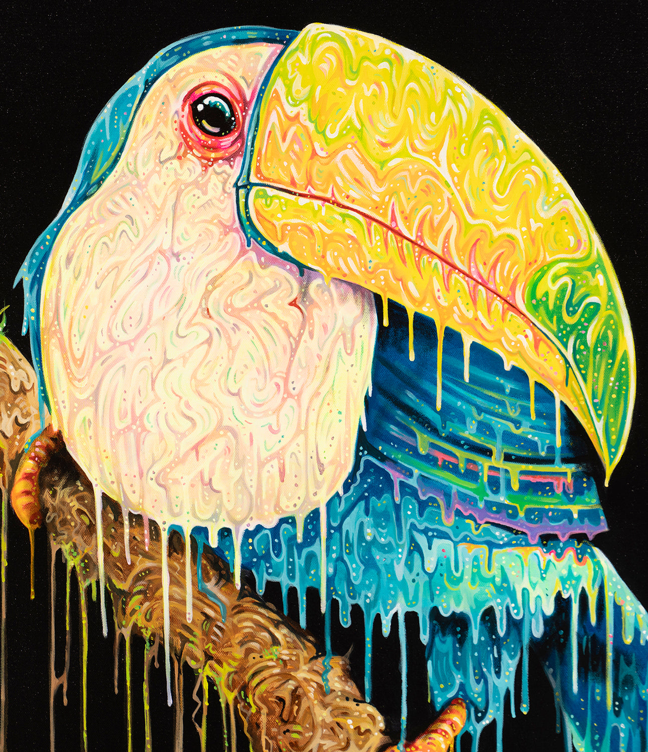 BOX ORI WWL 27883 5 Toco 