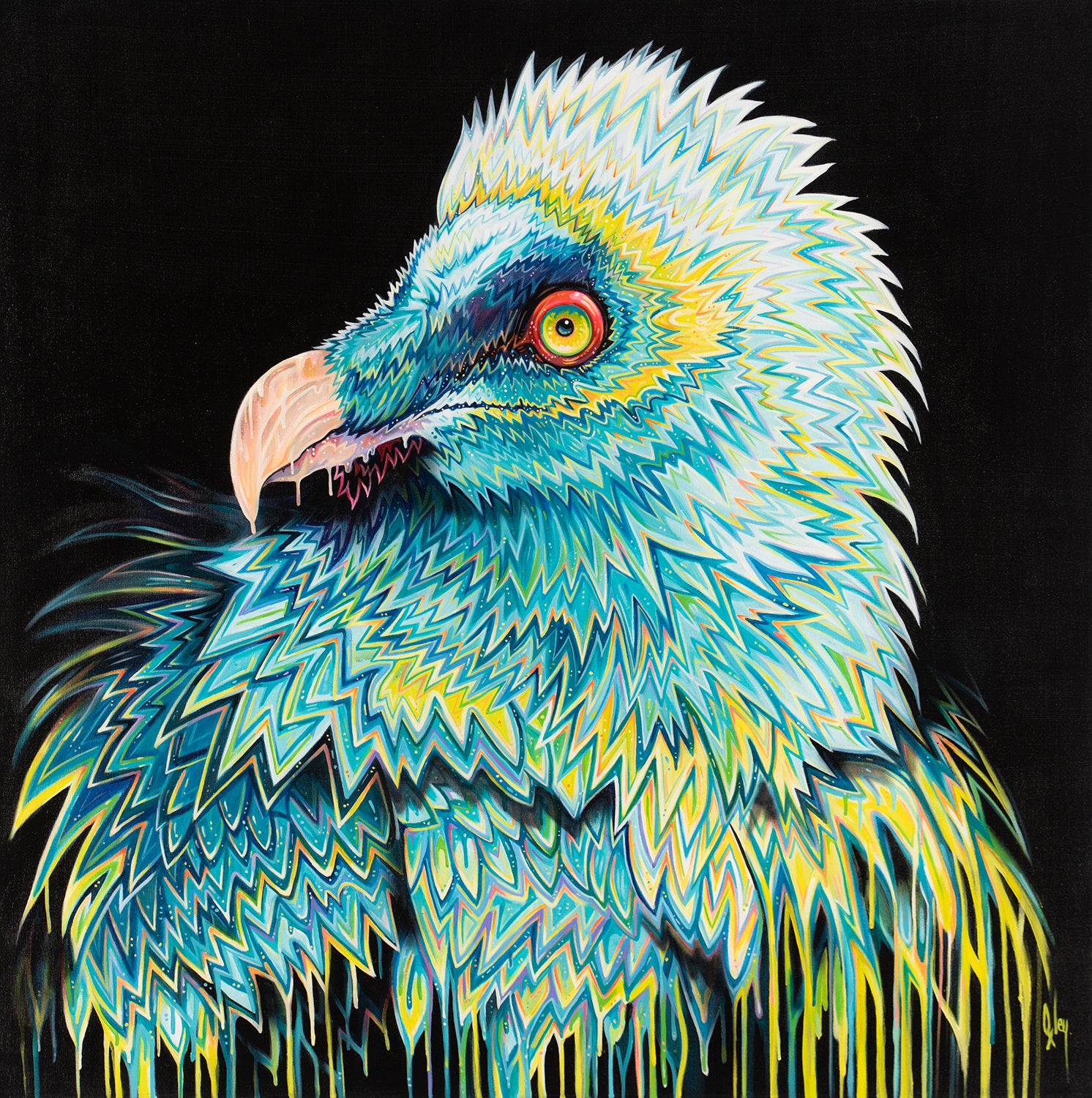 BOX ORI WWL 27884 3 Lammergier 