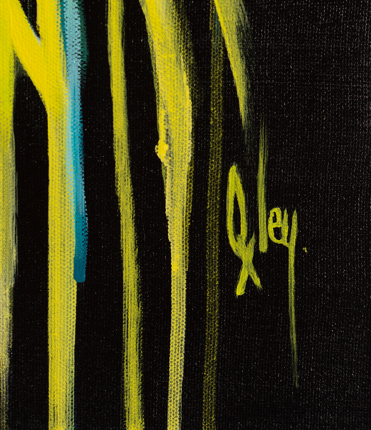 BOX ORI WWL 27884 4 Lammergier 