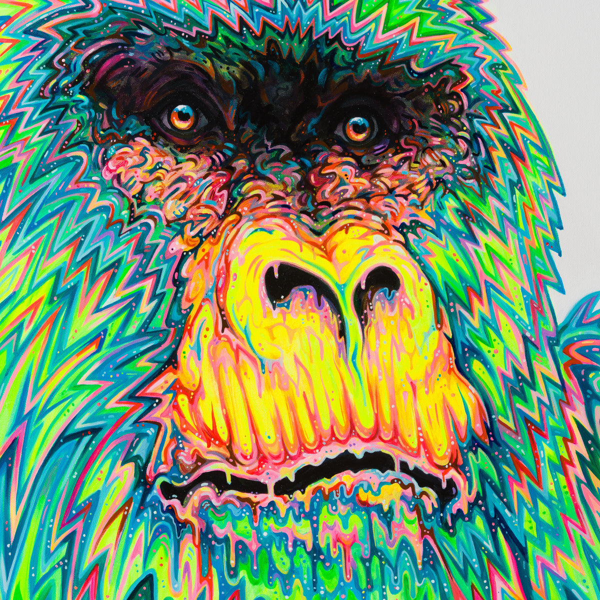 BOX ORI WWL 28387 6 Divinity 